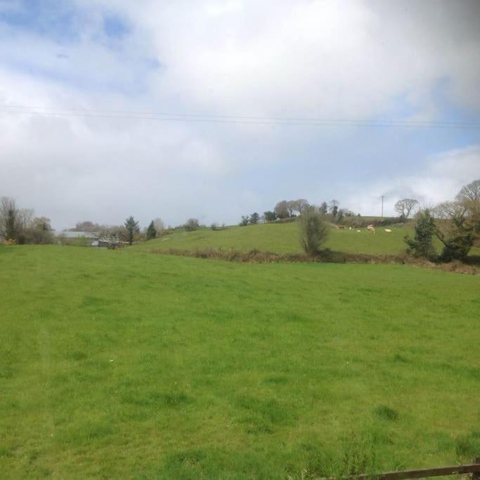 Killarney Farm House. Εξωτερικό φωτογραφία