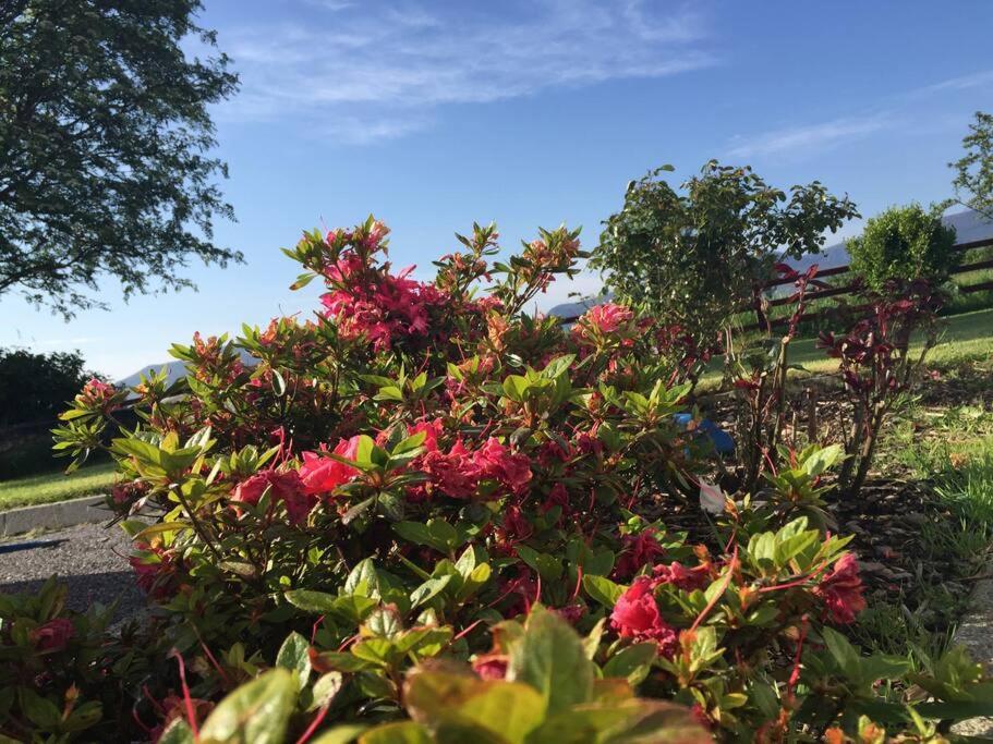 Killarney Farm House. Εξωτερικό φωτογραφία